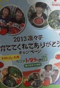 りりこの育て方ガイド