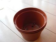 sgarden_pot